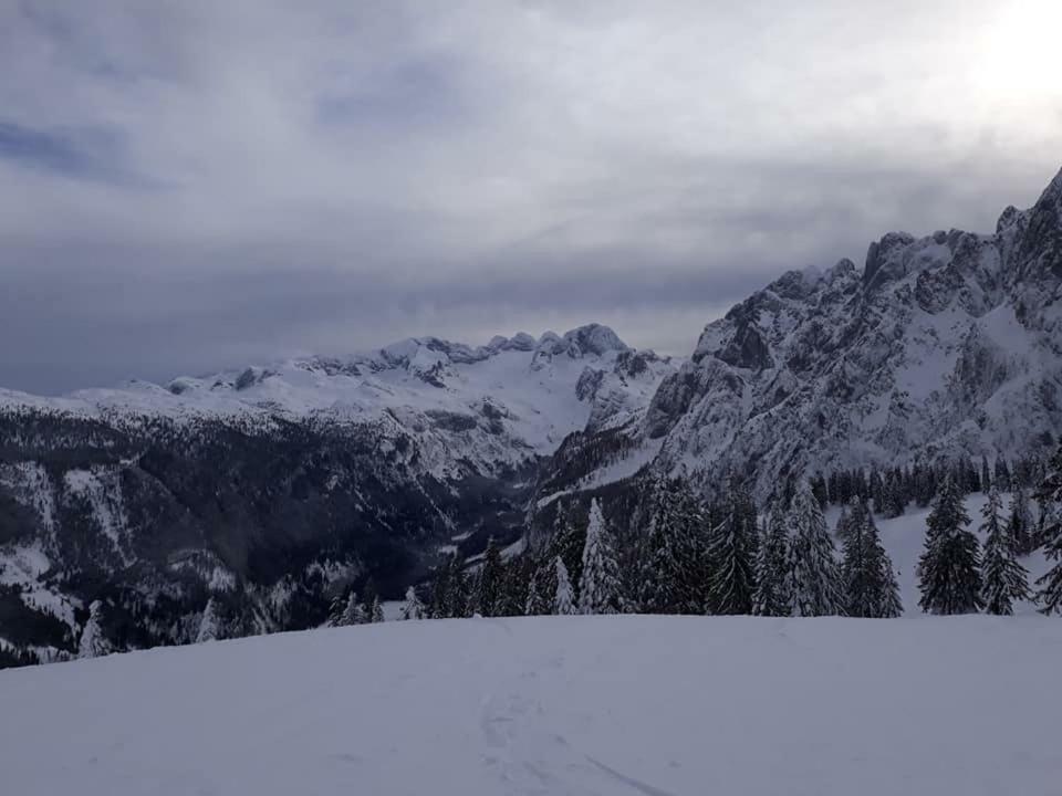 Dachstein View Ski Apartment โกเซา ภายนอก รูปภาพ