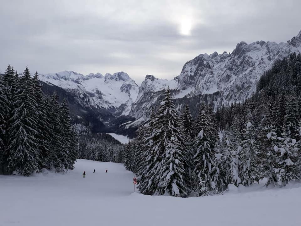 Dachstein View Ski Apartment โกเซา ภายนอก รูปภาพ