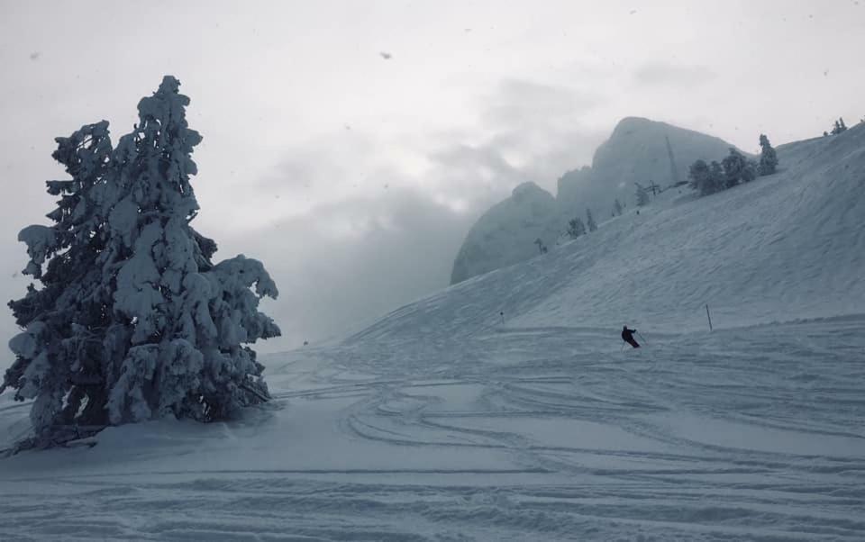Dachstein View Ski Apartment โกเซา ภายนอก รูปภาพ