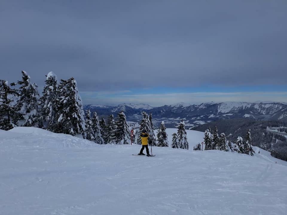 Dachstein View Ski Apartment โกเซา ภายนอก รูปภาพ
