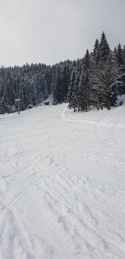 Dachstein View Ski Apartment โกเซา ภายนอก รูปภาพ