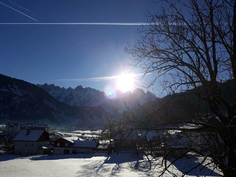 Dachstein View Ski Apartment โกเซา ภายนอก รูปภาพ